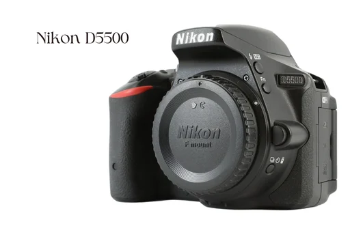 Nikon D5500